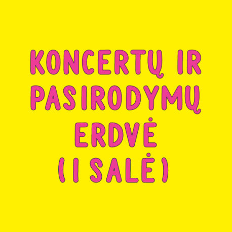 KONCERTŲ IR PASIRODYMŲ ERDVĖ (I SALĖ)